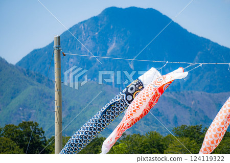 [初夏材料]鯉魚旗在天空中游泳[長野] 124119322