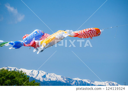 [Early summer material] Carp streamers swimming in the sky [Nagano] 124119324
