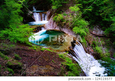 [Early summer material] Fresh greenery in Nishizawa Valley [Yamanashi Prefecture] 124119377