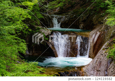 [Early summer material] Fresh greenery in Nishizawa Valley [Yamanashi Prefecture] 124119382