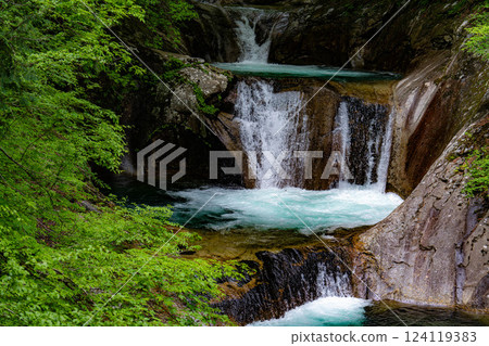 [Early summer material] Fresh greenery in Nishizawa Valley [Yamanashi Prefecture] 124119383