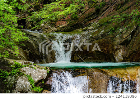 [Early summer material] Fresh greenery in Nishizawa Valley [Yamanashi Prefecture] 124119386