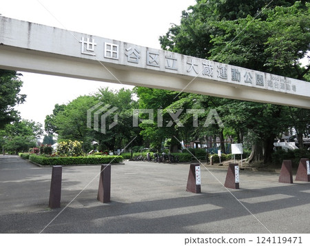 世田谷區大倉運動公園的玫瑰園裡盛開的玫瑰 124119471