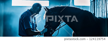 Veterinarian examining a horse in a stable, checking its health Veterinarian examining a horse in a stable, checking its health 124119754