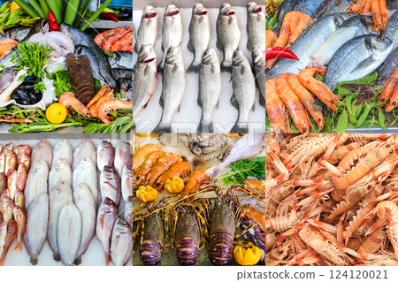 Seafood collage with fresh salmon, lobsters, langoustines, shrimp, and fish on ice 124120021