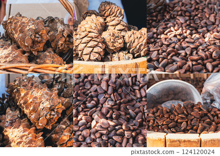 Collage of pine nuts and pine cones Collage of pine nuts and pine cones 124120024