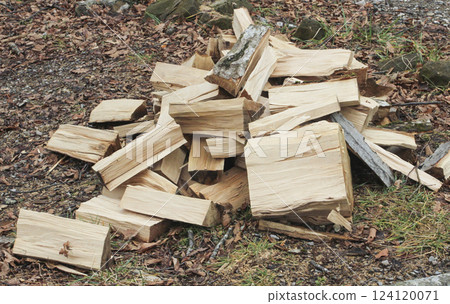 Chopped firewood Chopped firewood 124120071