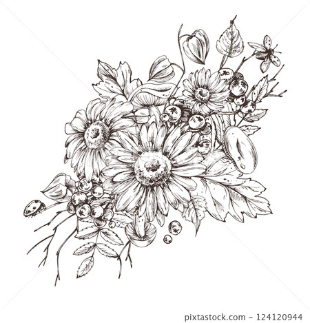 Autumn berries physalis, chokeberry, rowan leaves, maple, birch, russula mushrooms, rudbeckia flowers, tree branches. Graphic line art hand drawn with black ink. Arrangement, sublimation, composition Autumn berries physalis, chokeberry, rowan leaves, maple, birch, russula mushrooms, rudbeckia flowers, tree branches. Graphic line art hand drawn with black ink. Arrangement, sublimation, composition 124120944
