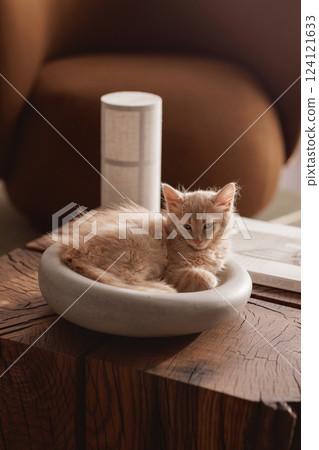 A two-month-old light ginger kitten snuggles contentedly in a grey stone bowl, perched on a solid oak stump table, showcasing its playful spirit and soft fur against the rustic wood's charm. A two-month-old light ginger kitten snuggles contentedly in a grey stone bowl, perched on a solid oak stump table, showcasing its playful spirit and soft fur against the rustic wood's charm. 124121633
