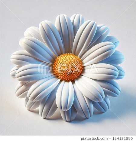 A single pure margaret flower 124121890