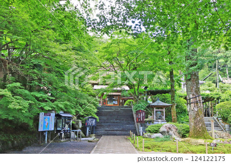 The grounds of Daikozenji Temple, a tourist attraction in Miyaki County, Saga Prefecture The grounds of Daikozenji Temple, a tourist attraction in Miyaki County, Saga Prefecture 124122175