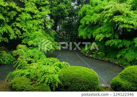 The garden of Kyoto Kozanin 124122346