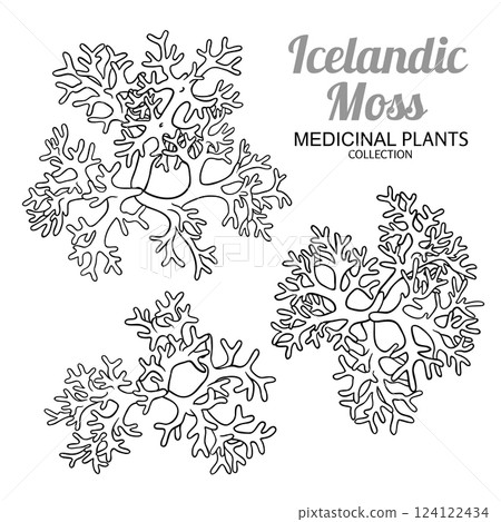 Icelandic Moss Set Outline Illustration 124122434