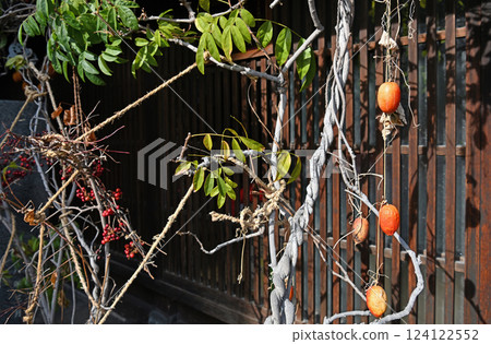 A tasteful view of Higashi Chaya District: Dried persimmons under the eaves A tasteful view of Higashi Chaya District: Dried persimmons under the eaves 124122552