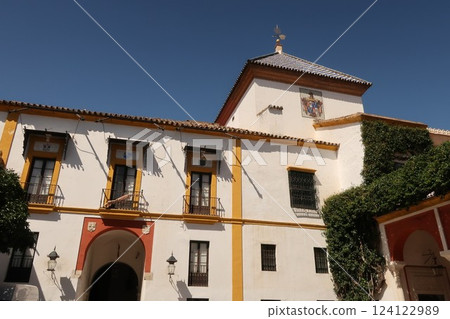 Streets of Seville, Spain 124122989