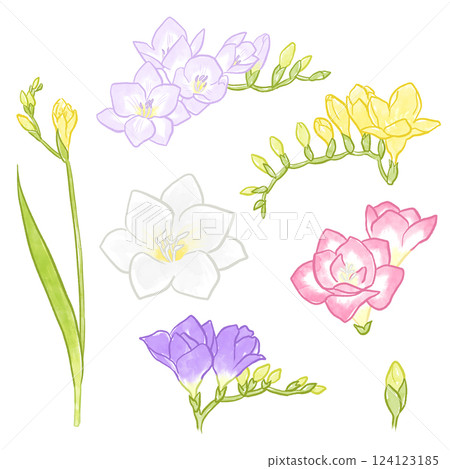 小蒼蘭插圖 124123185