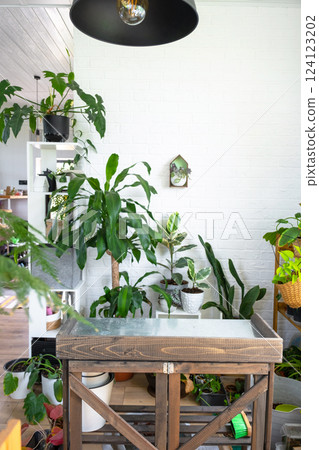 A floral table for the care and transplantation of potted plants, a home hobby for growing and selling plants in the interior of a green house 124123202