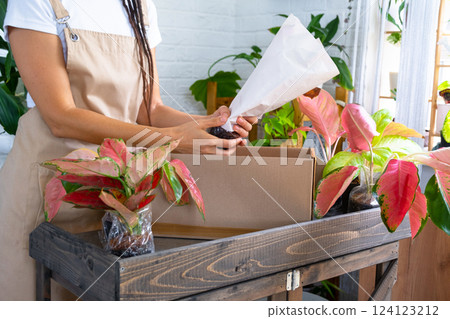 Woman unpacks a box with a parcel of potted flowers of red aglaonem - order wrapped tropical plants, delivery. Sale, safe shipment of plants from the store, packaging. Flower shop, home business 124123212