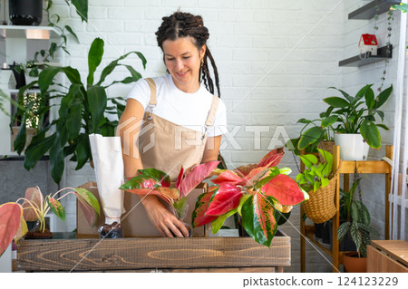 Woman unpacks a box with a parcel of potted flowers of red aglaonem - order wrapped tropical plants, delivery. Sale, safe shipment of plants from the store, packaging. Flower shop, home business 124123229