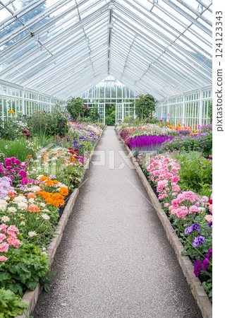 Vibrant flower pathway in botanical greenhouse with glass roof. 124123343