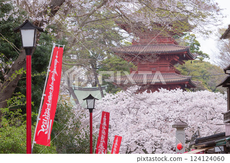 [Japan] Hokekyoji Temple in Chiba Prefecture 124124060