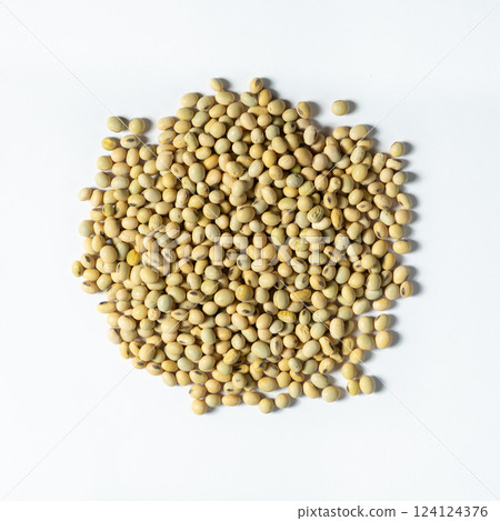 Raw Soybeans Scattered on a White Background Top View. 124124376