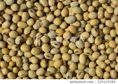Organic raw soybeans close-up, vegan superfood, top view 124124384