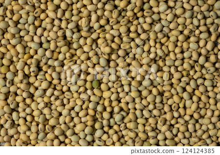 Organic raw soybeans close-up, vegan superfood, top view 124124385