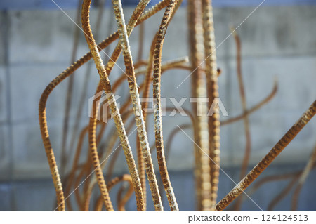 The rebar of a demolished exterior wall. It is rusted and bent in all directions. 124124513
