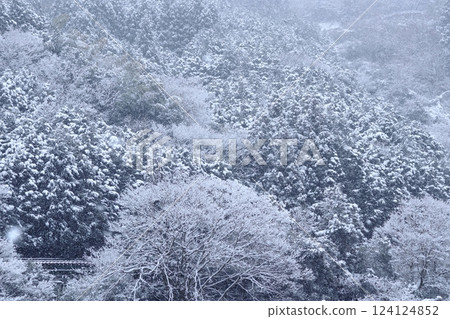 A silver world along the Ananai River on the Tosan Line (Hiura, Otoyo Town, Kochi Prefecture) 124124852