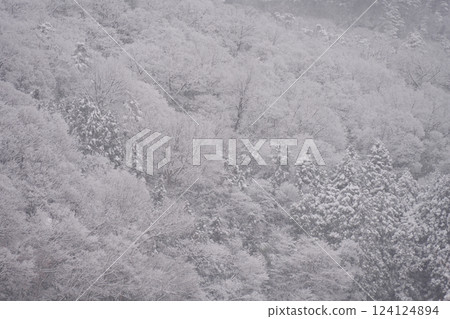 Snow-covered trees (Unnan City) Snow-covered trees (Unnan City) 124124894