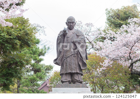 [Japan] A bronze statue of a monk and cherry blossom trees in full bloom on display at Hokekyoji Temple in Chiba Prefecture 124125047