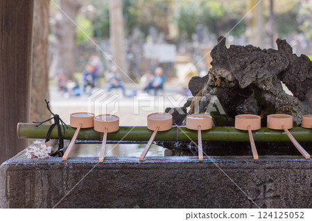 [Japan] Ladles and cherry blossoms lined up at the Chozuya (purification fountain) at Hokekyoji Temple in Chiba Prefecture 124125052