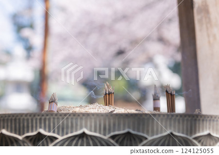 [日本] 千葉縣法華經寺灰燼中升起的香火 124125055