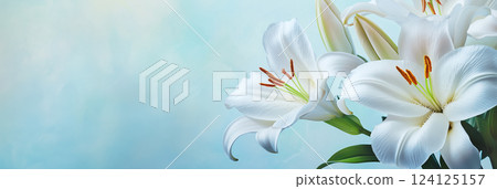 百合背景材料 百合背景材料 124125157