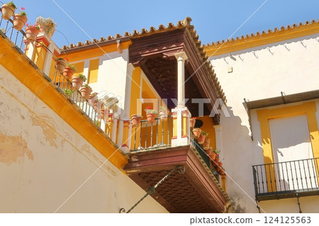 House of Pilate, Seville, Spain 124125563