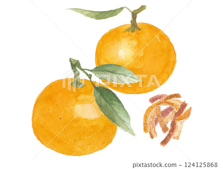 Watercolor orange, orange peel, spruce 124125868