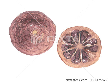 Watercolor painting of orange, daidai, kijitsu Watercolor painting of orange, daidai, kijitsu 124125872