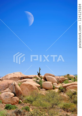 Sonora Desert Arizona Moonrise Sonora Desert Arizona Moonrise 124125884