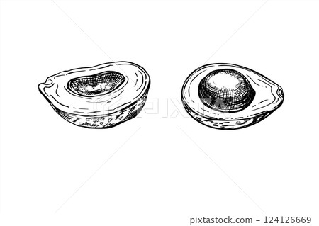 Two halves of avocado vector isolated illustration painted by black inks. Monochrome cut vegetable slices etching drawing. Tropical summer fruit organic ingredient for menu, recipe design 124126669