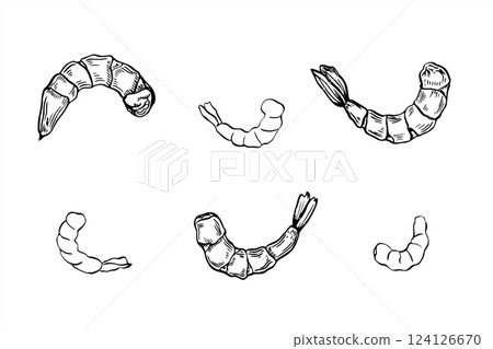 Peeled boiled prawn set line art black ink sketch. Cooked unshelled tiger shrimps clipart in realistic linear style. Seafood cooking ingredient vector isolated illustration for menu, recipe design. 124126670