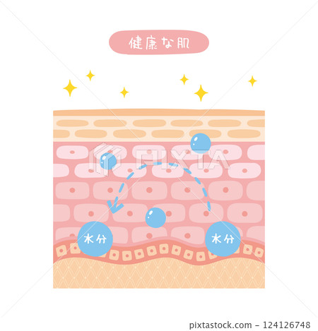 健康皮膚橫斷面圖示 健康皮膚橫斷面圖示 124126748