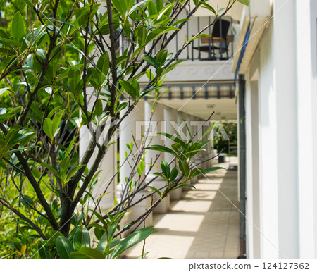White beautiful hotel with decorative green plants in the garden. Summer landscape in Baden-Baden. Chairs and table on a balkony. 124127362