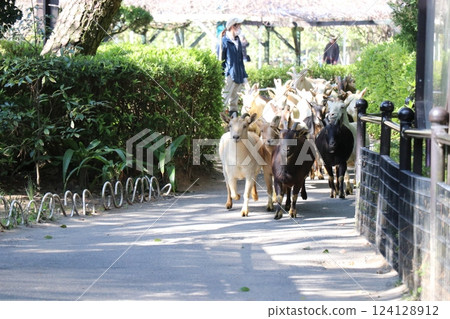 Miyazaki City Phoenix Zoo, Miyazaki Prefecture Miyazaki City Phoenix Zoo, Miyazaki Prefecture 124128912