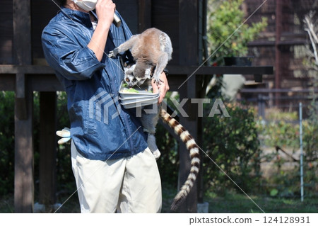 Miyazaki City Phoenix Zoo, Miyazaki Prefecture Miyazaki City Phoenix Zoo, Miyazaki Prefecture 124128931