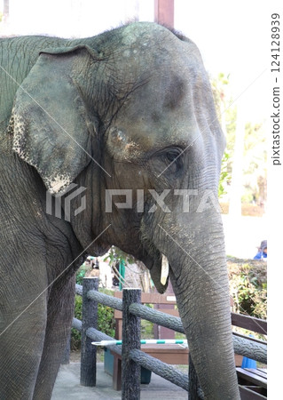 Miyazaki City Phoenix Zoo, Miyazaki Prefecture 124128939