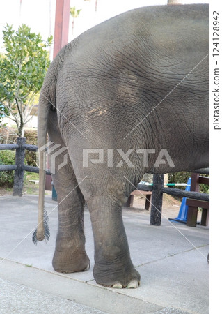 Miyazaki City Phoenix Zoo, Miyazaki Prefecture 124128942