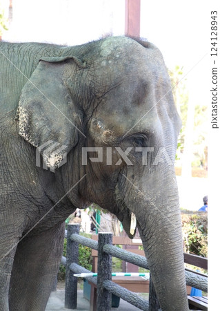 Miyazaki City Phoenix Zoo, Miyazaki Prefecture Miyazaki City Phoenix Zoo, Miyazaki Prefecture 124128943