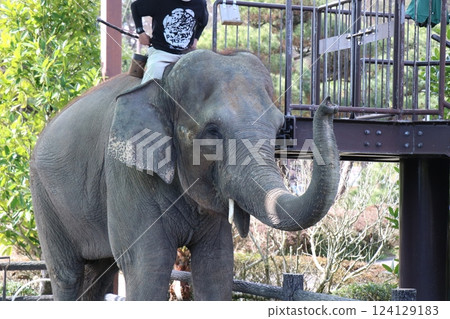 Miyazaki City Phoenix Zoo, Miyazaki Prefecture 124129183