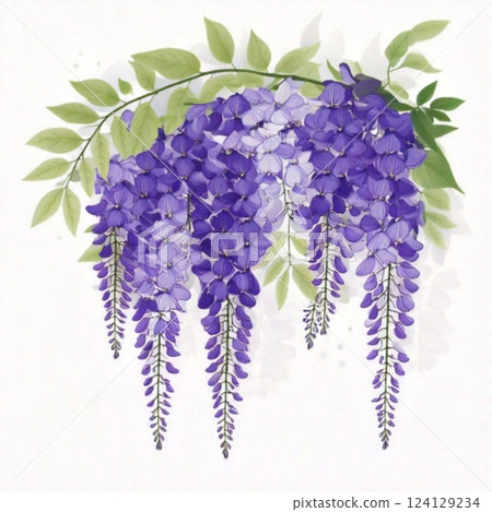 Wisteria flower vector illustration 1 124129234